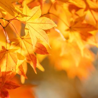 Erreichbarkeit in den Herbstferien