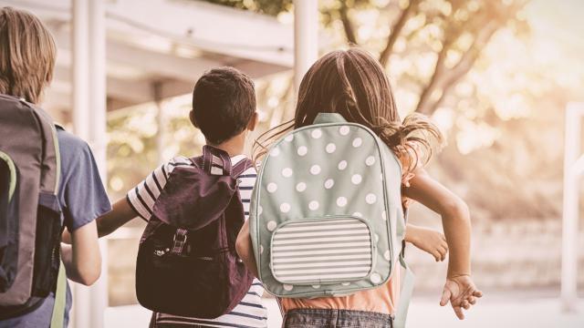 Online-Elternabende der Polizei zur Prävention von der Klasse 1 bis 7 